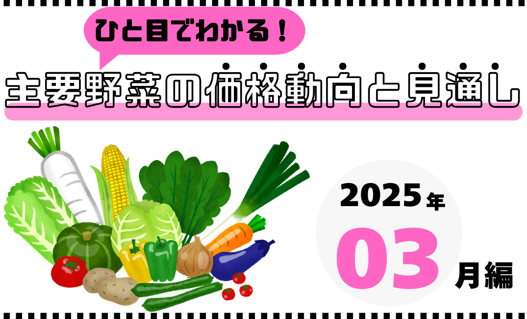 【栄養士＆主婦必見】ひと目でわかる！主要野菜の価格動向と見通し｜2025年3月版